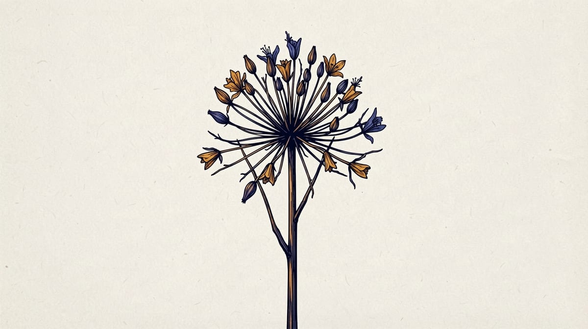 Dried seedhead with most flowers shed, a few brown petals still clinging to bare stems.